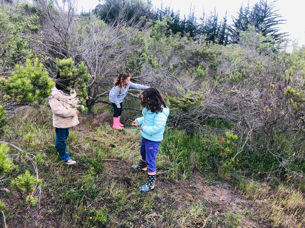 EduCenia-juegolibre03