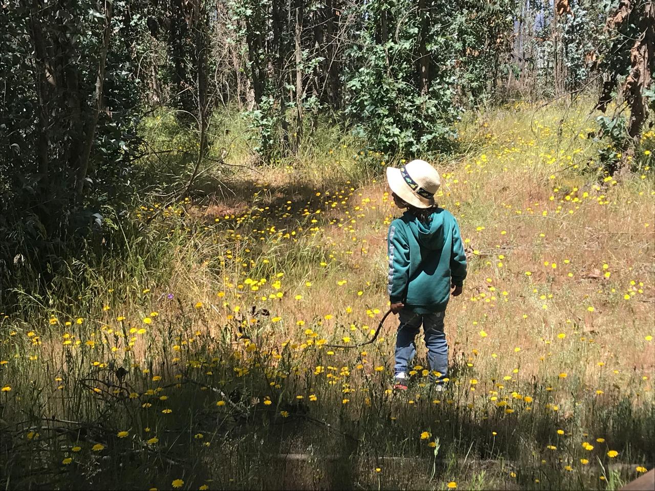 EduCenia-juegolibre05